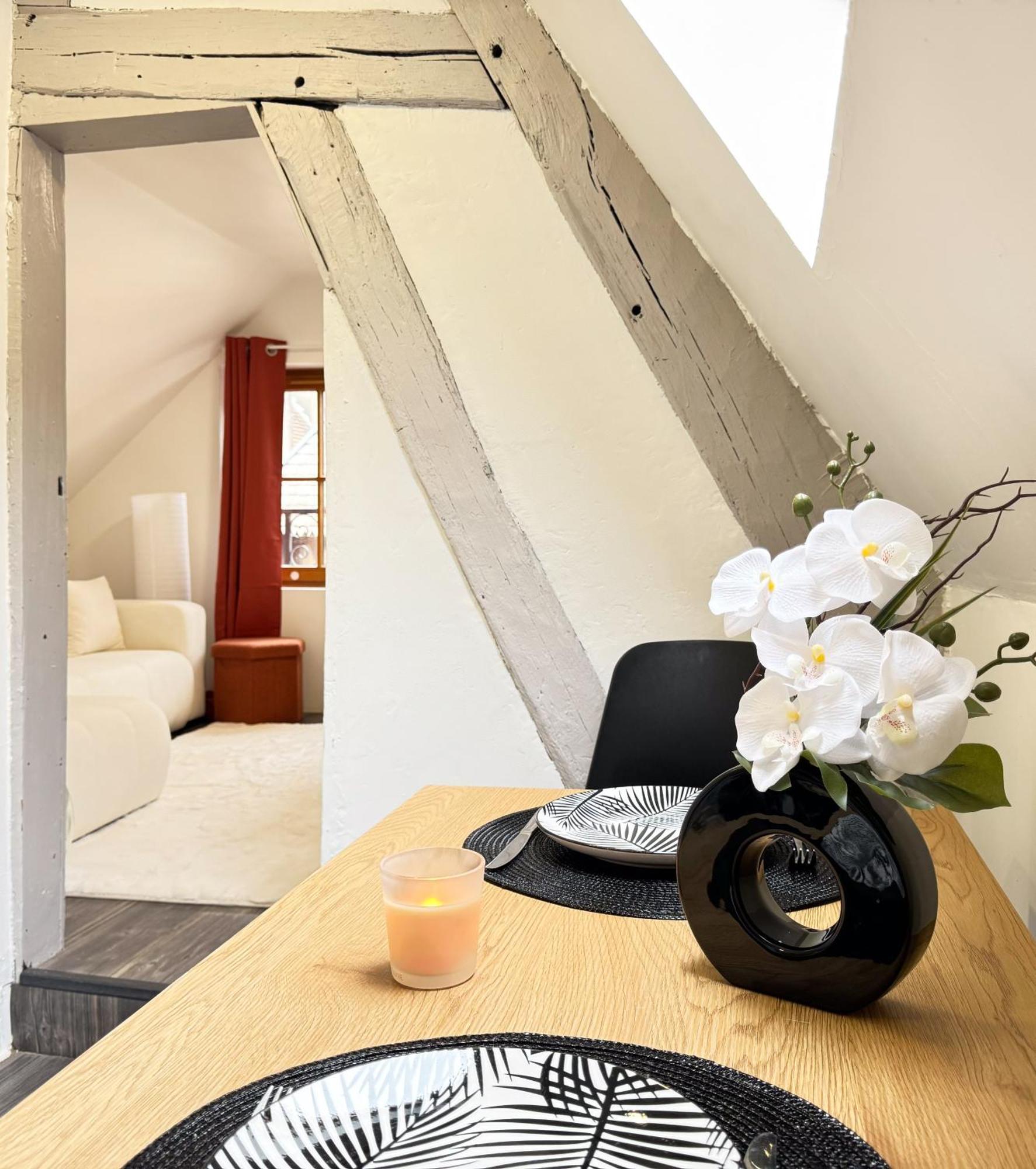 La Douceur - Hypercentre Pieton De Troyes - Cozy Leilighet Eksteriør bilde